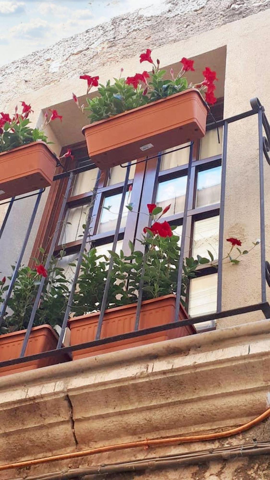 Modern Apartment Near Arce City Centre 62 M² Parking المظهر الخارجي الصورة